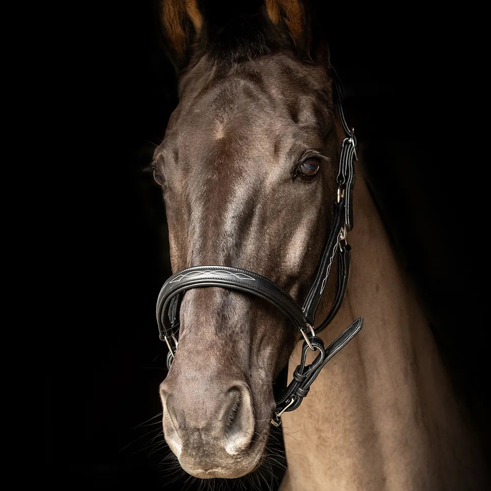 ProPresicce Softy Leather Head Collar by Hy Equestrian