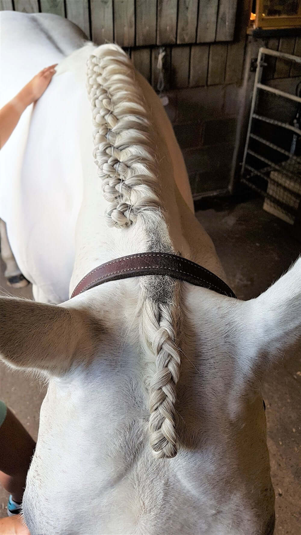 Smart Grooming Plaiting Gel