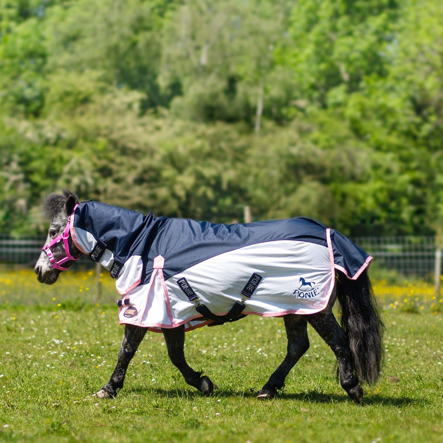 Ponie Hybrid Combo Fly Rug