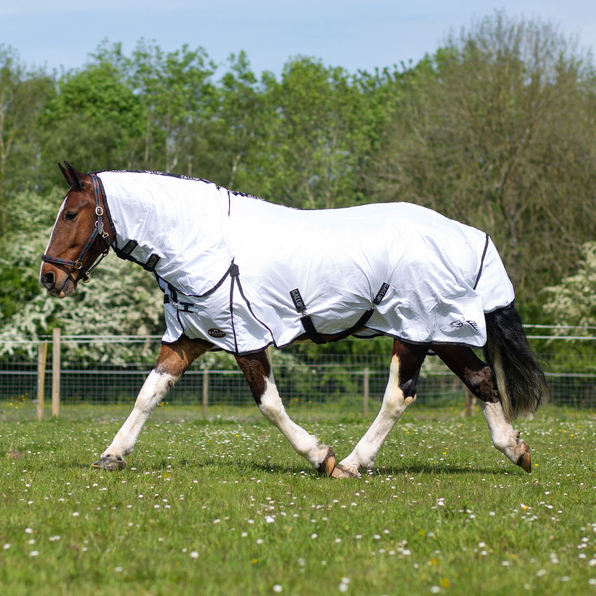 TROJAN Classic Combo Fly Rug