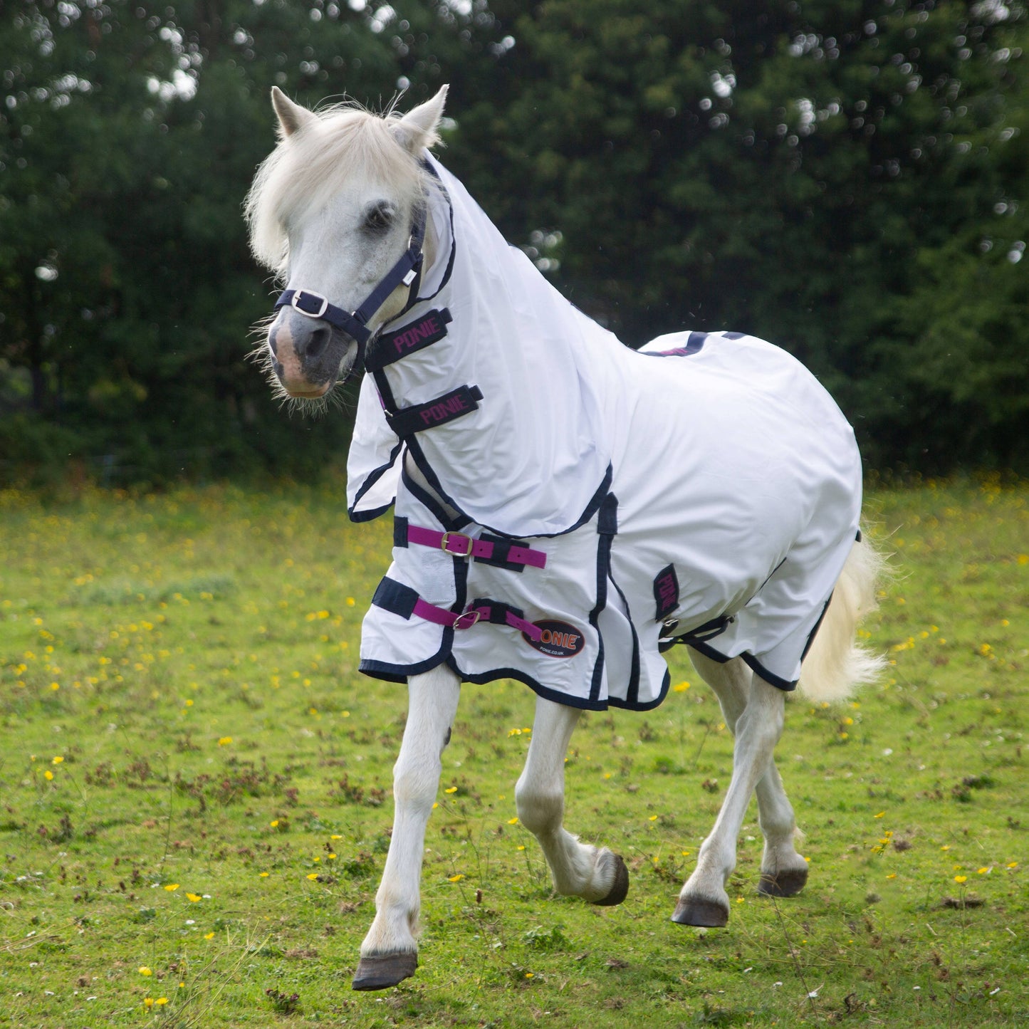 Ponie Combo Fly Rug