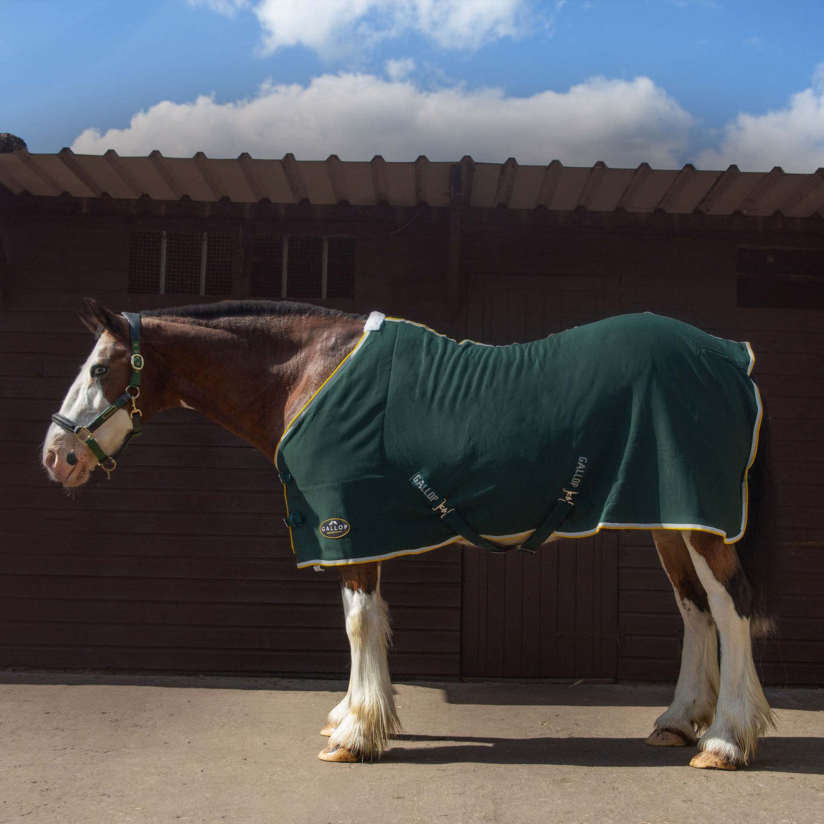 TROJAN Jersey Cooler Rug Green