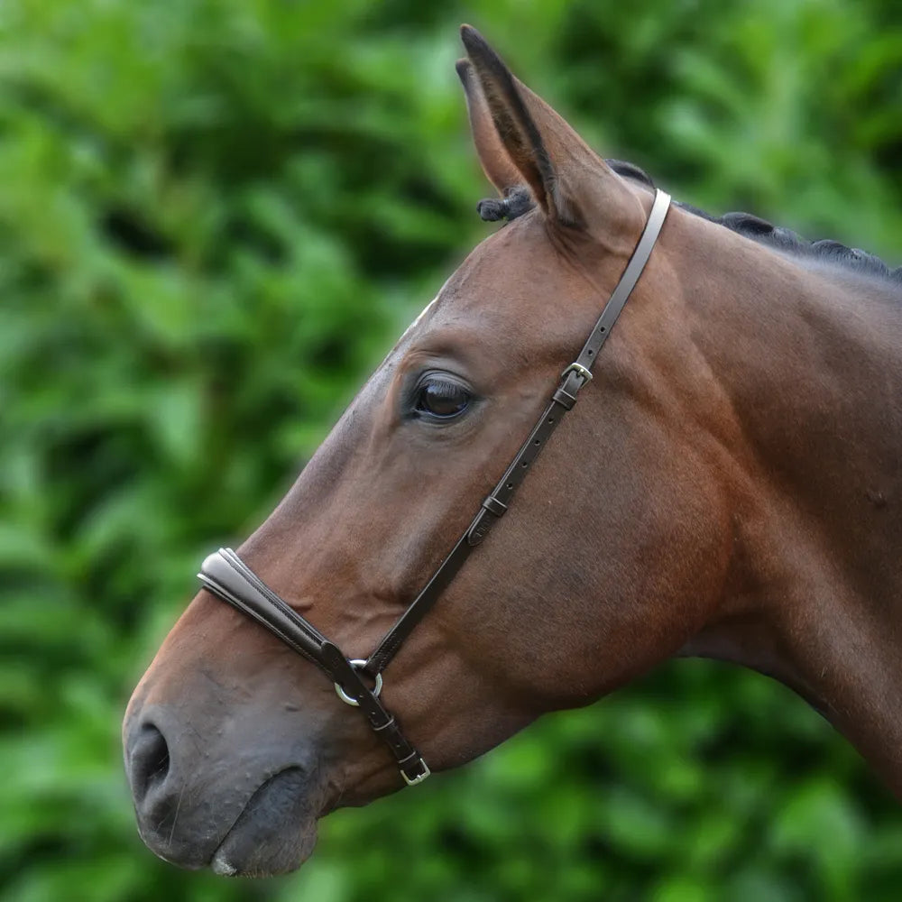 Hy Equestrian Padded Drop Nose Band