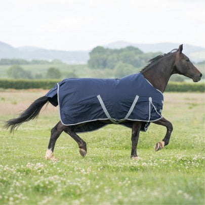 Gallop Trojan 300g Turnout Rug