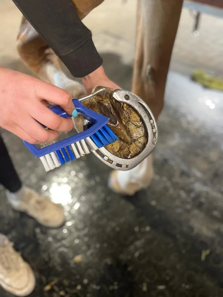 Kelcie's Pickbrush