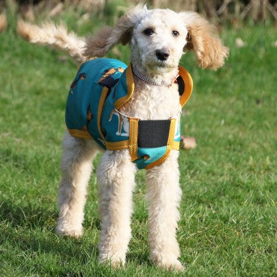 Dogs Print Dog Coat