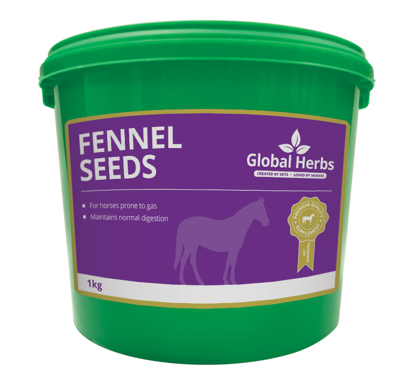 Global Herbs Fennel Seeds
