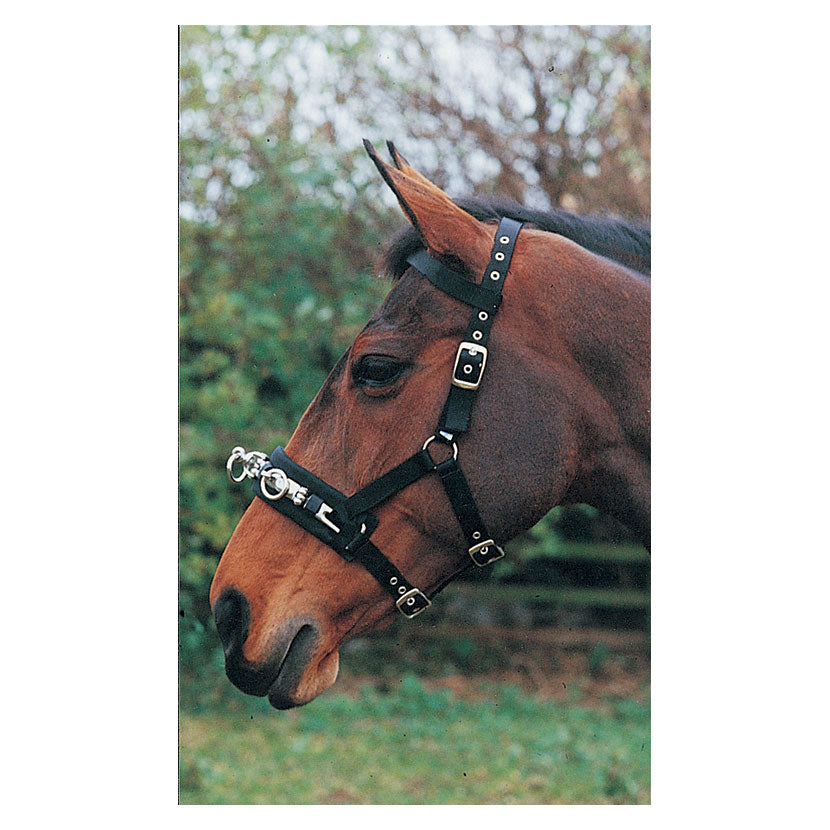 Hy Equestrian Lunge Cavesson