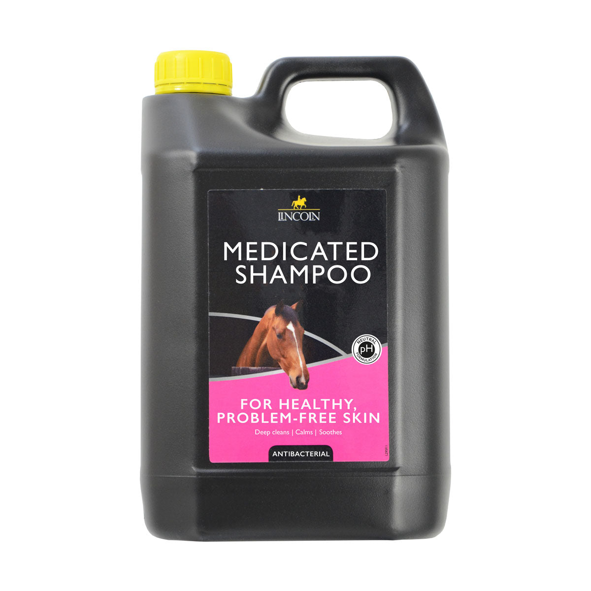 Lincoln Medicated Shampoo