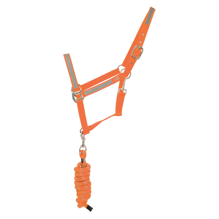 Reflector Head Collar and Lead Rope by Hy Equestrian