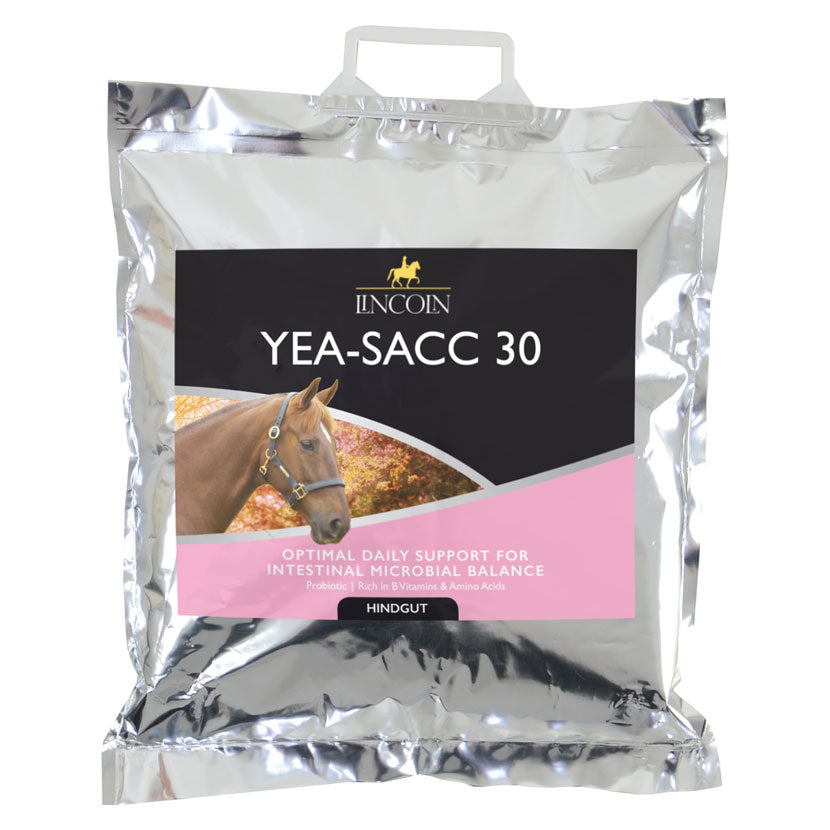 Lincoln Yea-Sacc 30