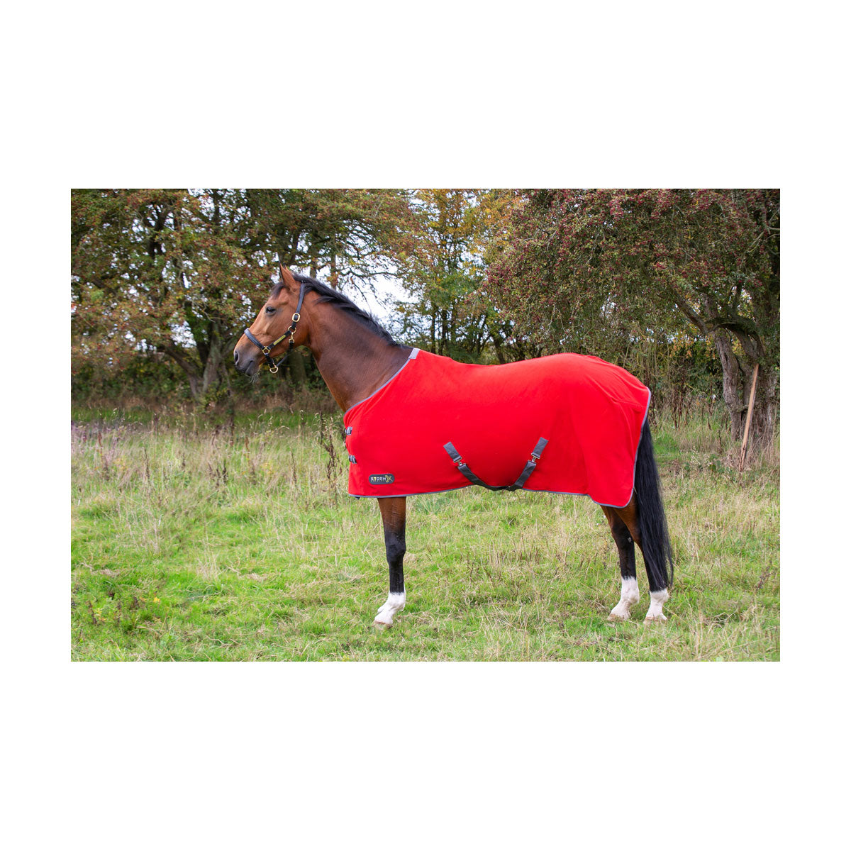 StormX Original Snug Fleece Rug