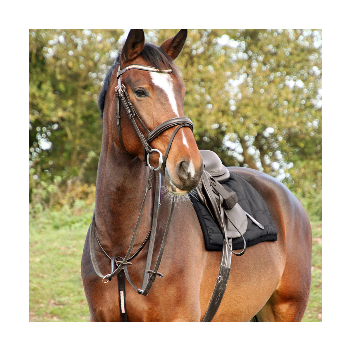 Hy Equestrian Rosciano Rose Gold Martingale