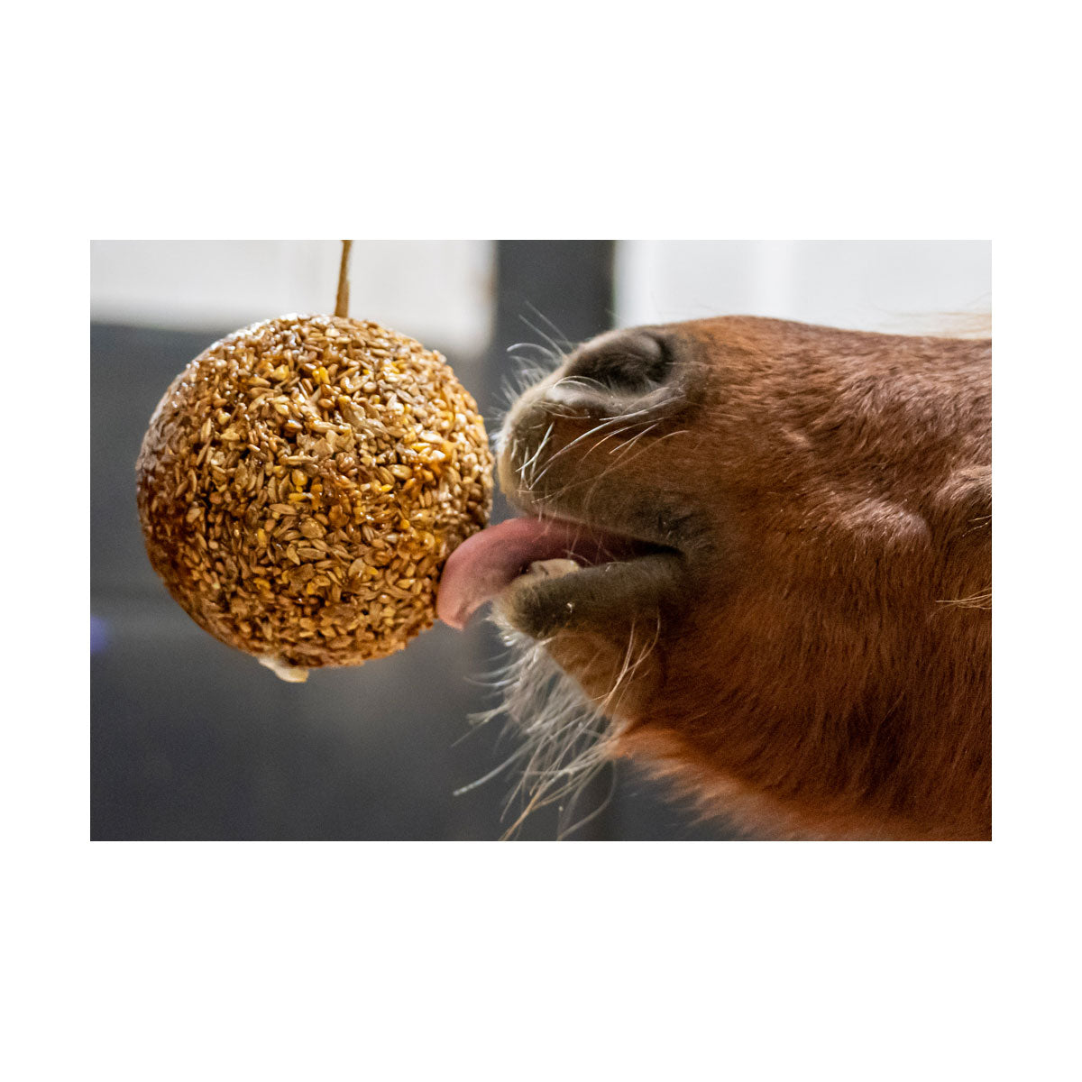Likit Granola Stall Ball