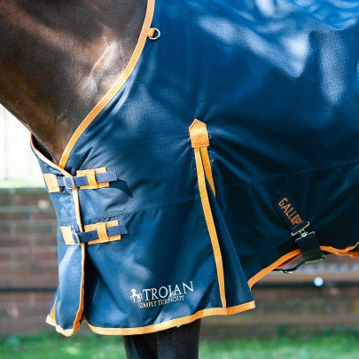 Gallop Trojan 100 Turnout Rug