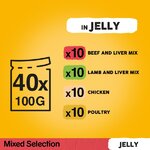 Pedigree Pouch Beef Chicken Lamb Poultry in Jelly