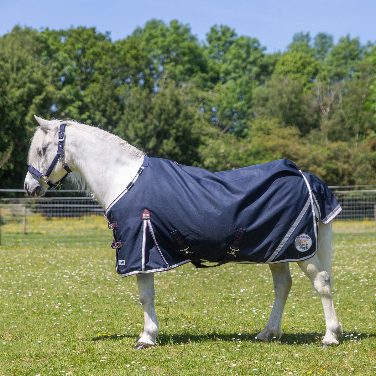 PONIE Xtra Duraproof 50g Turnout
