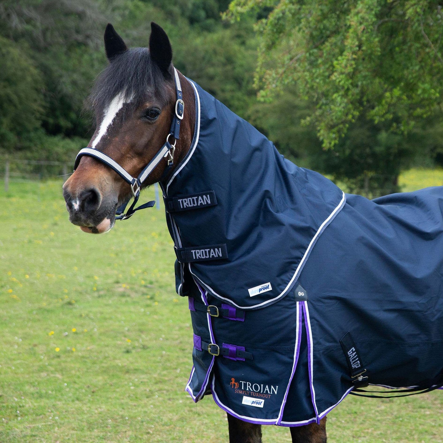 Trojan Duraproof Lightweight Turnout