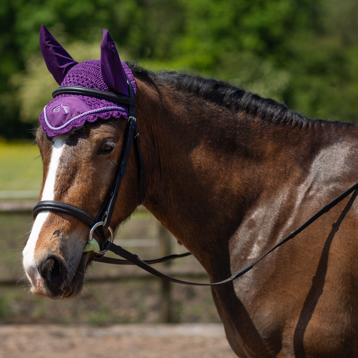 GALLOP Purple Classic Ear Veil