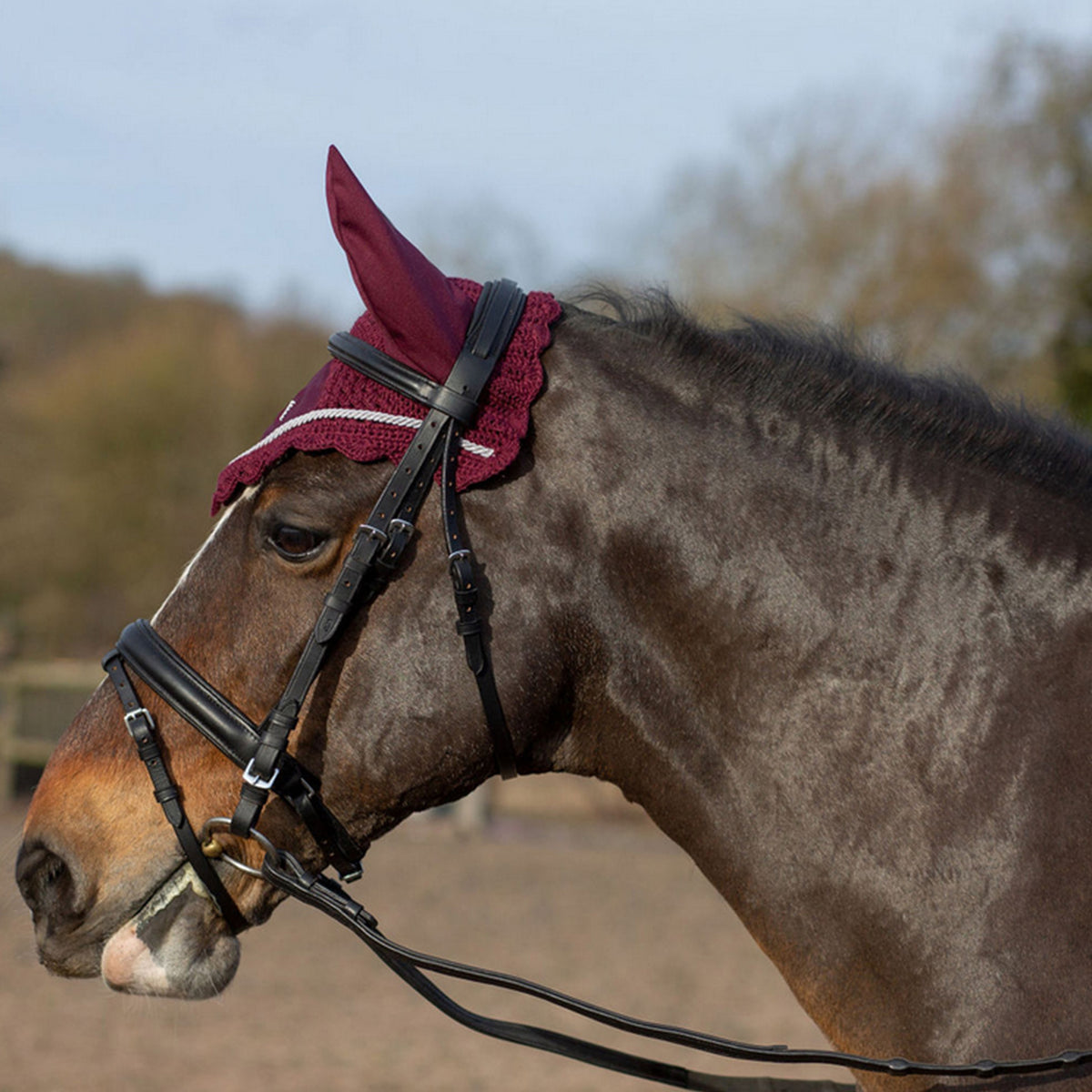 GALLOP Burgundy Classic Ear Veil