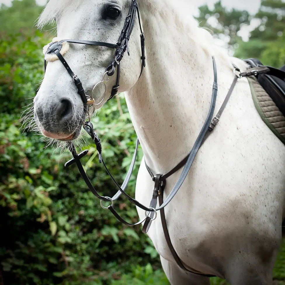Breast Plate Martingale