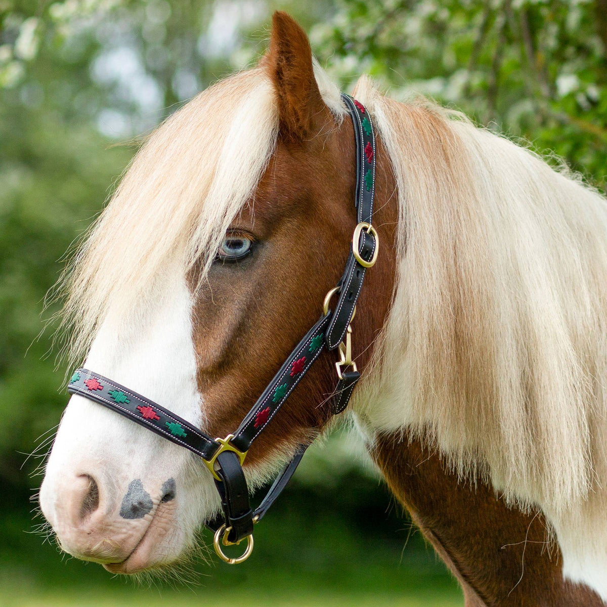GALLOP Burgundy/Green Diamond Leather Padded Headcollar