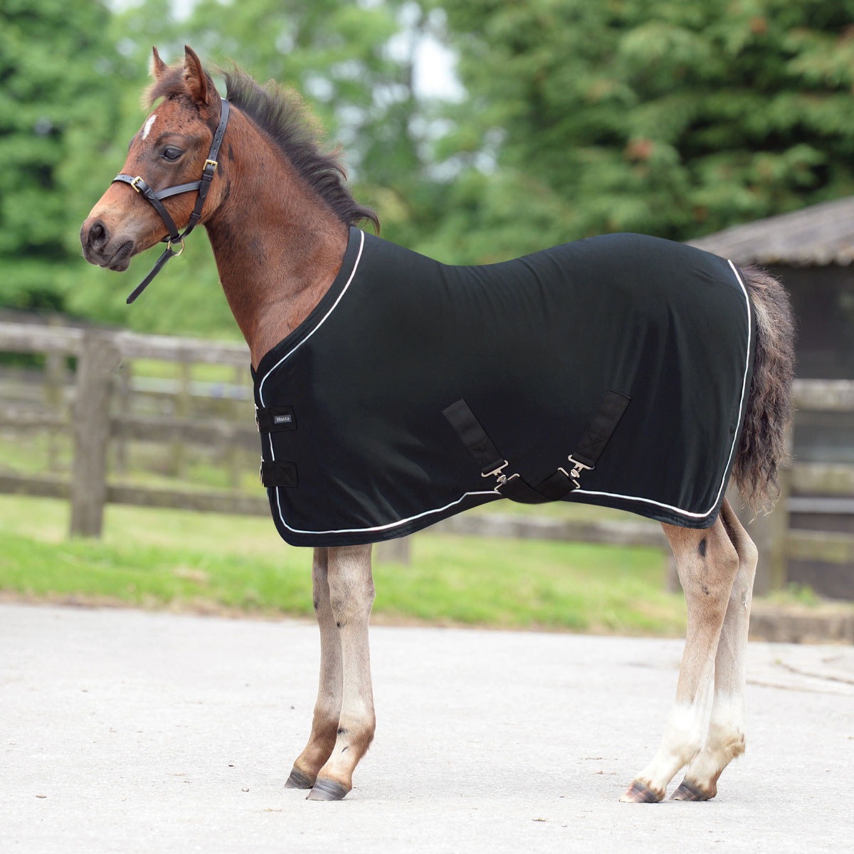 Masta Fleece Rug Foal/Miniature Pony Black
