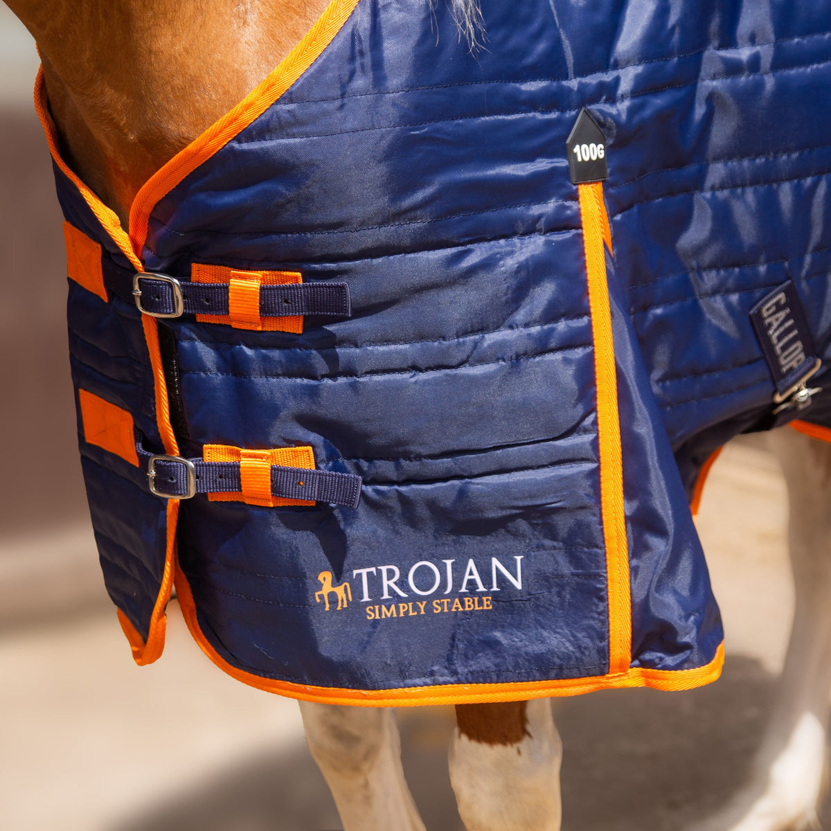 TROJAN 100g Stable Rug