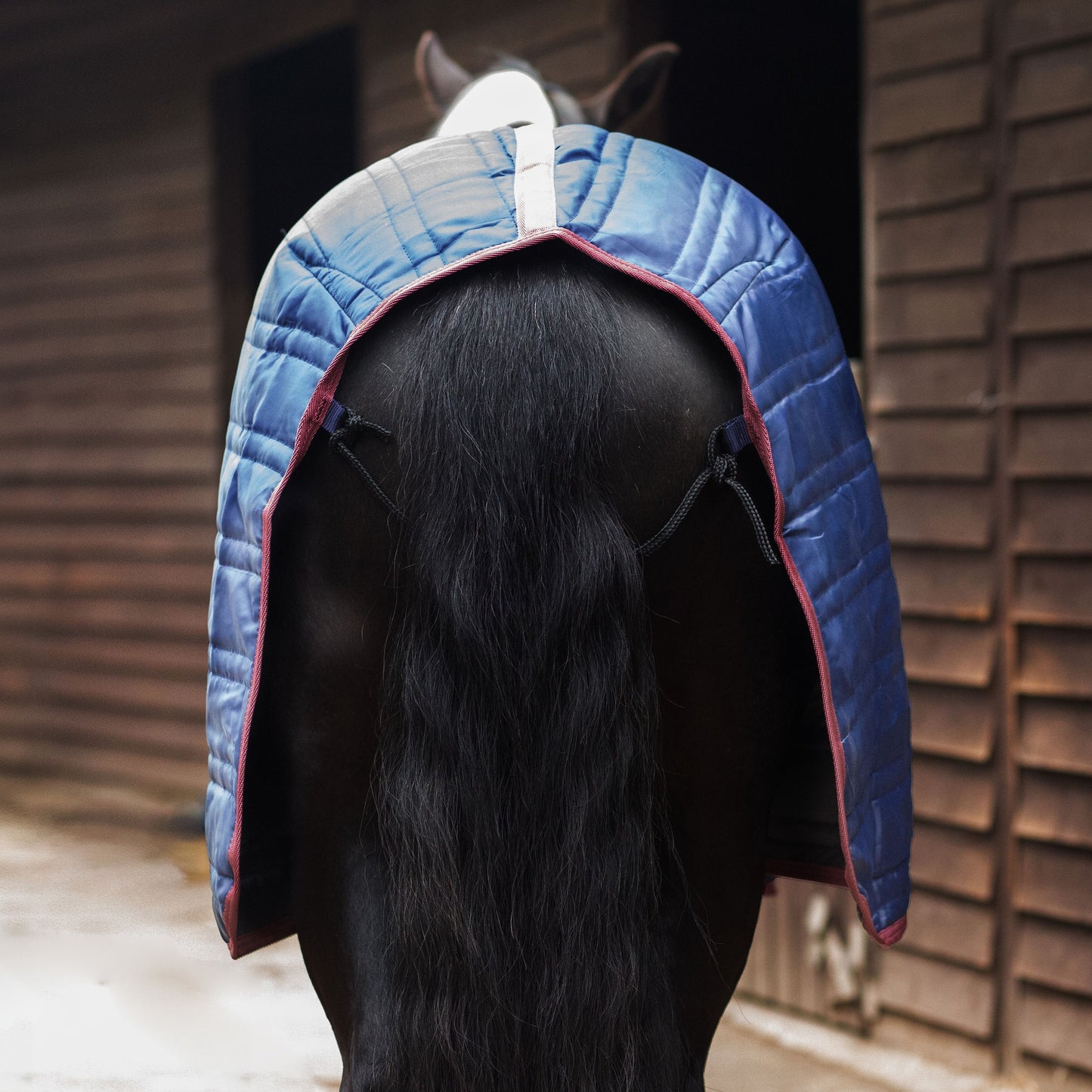 TROJAN 50g Stable Rug