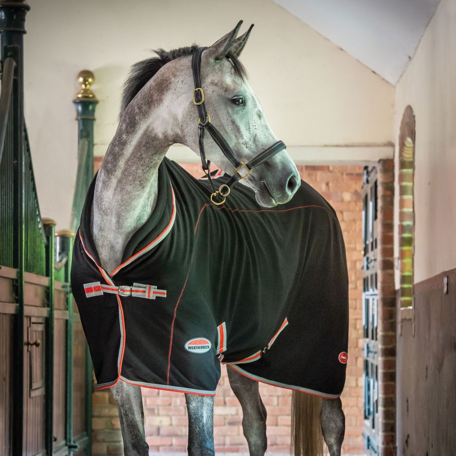 Stable & Tack Room