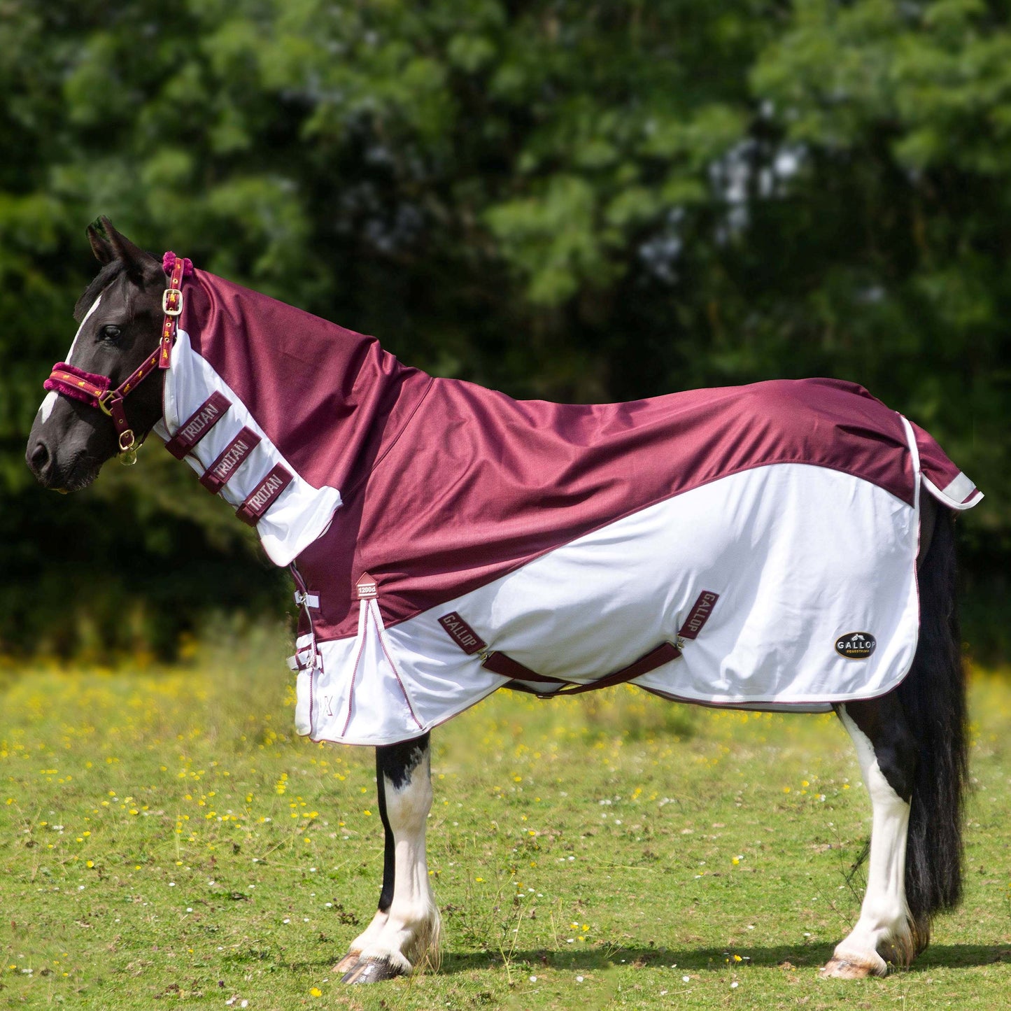Trojan Xtra Duraproof Hybrid Combo Fly Rug
