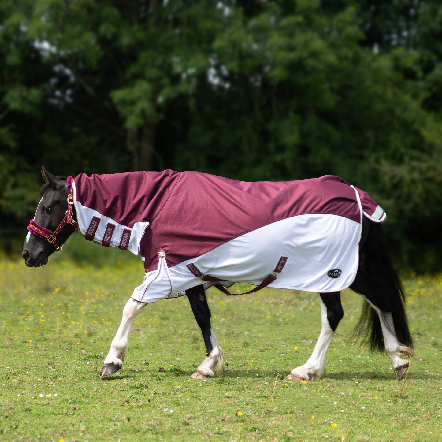 Trojan Xtra Duraproof Hybrid Combo Fly Rug