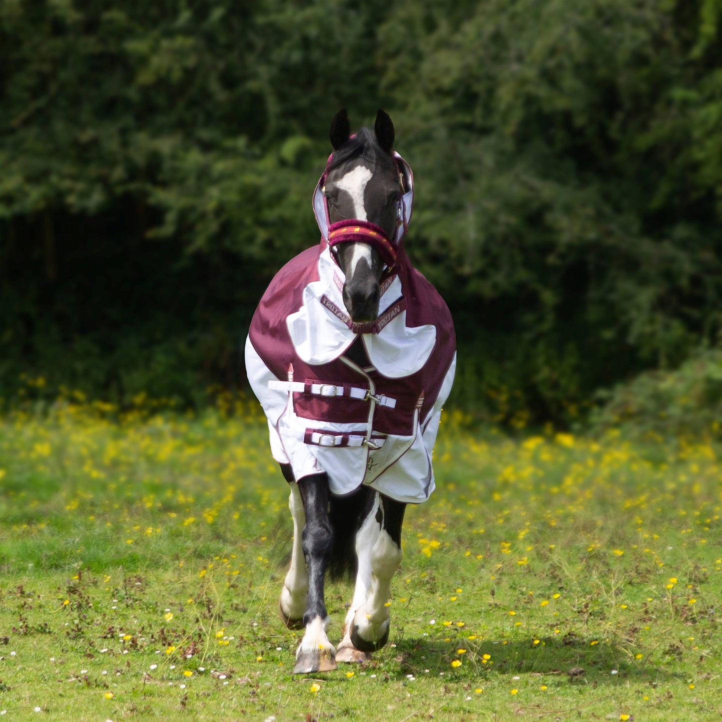 Trojan Xtra Duraproof Hybrid Combo Fly Rug