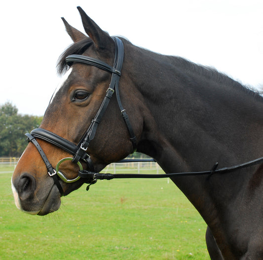 Heritage Saddlery English Leather ‘Comfort’ Bridle With Flash Noseband