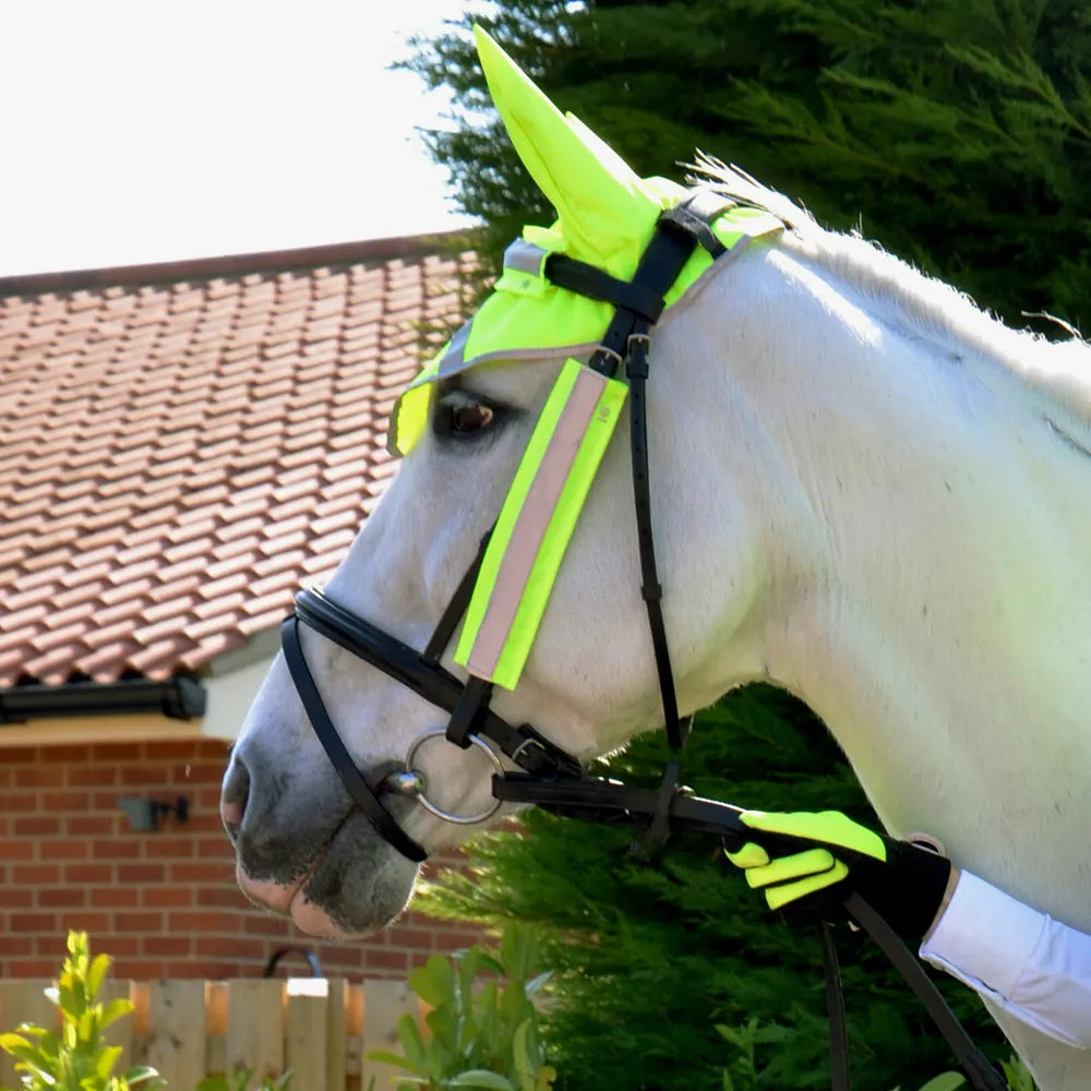 Reflector Bridle Bands by Hy Equestrian