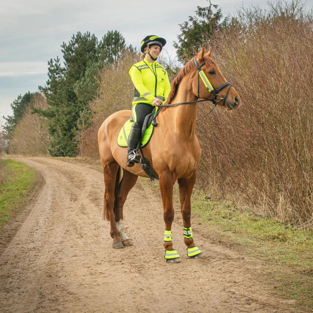 Reflector Bridle Bands by Hy Equestrian