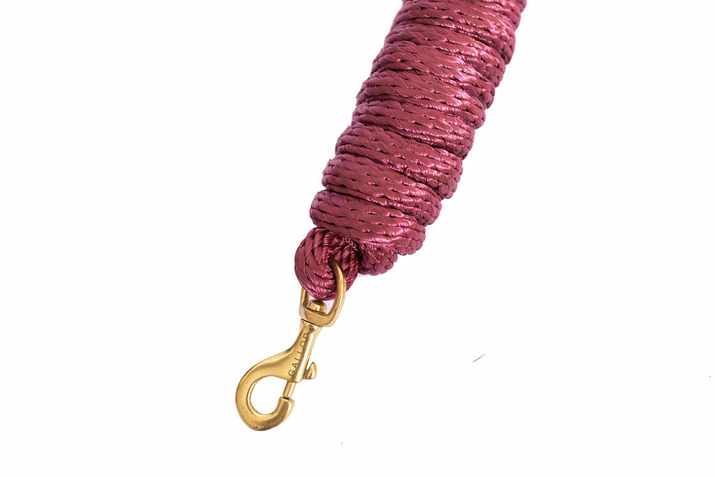 GALLOP Deluxe Poly Leadrope with Solid Brass Trigger Clip