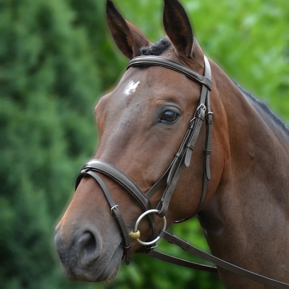Hy Equestrian Padded Flash Bridle with Rubber Grip Reins