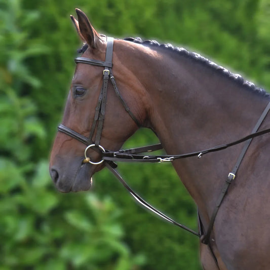 Hy Equestrian Market Harborough
