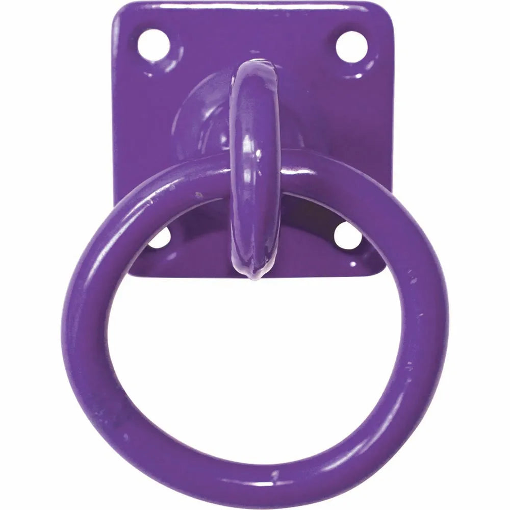 Perry Equestrian Chain Ring on Plate