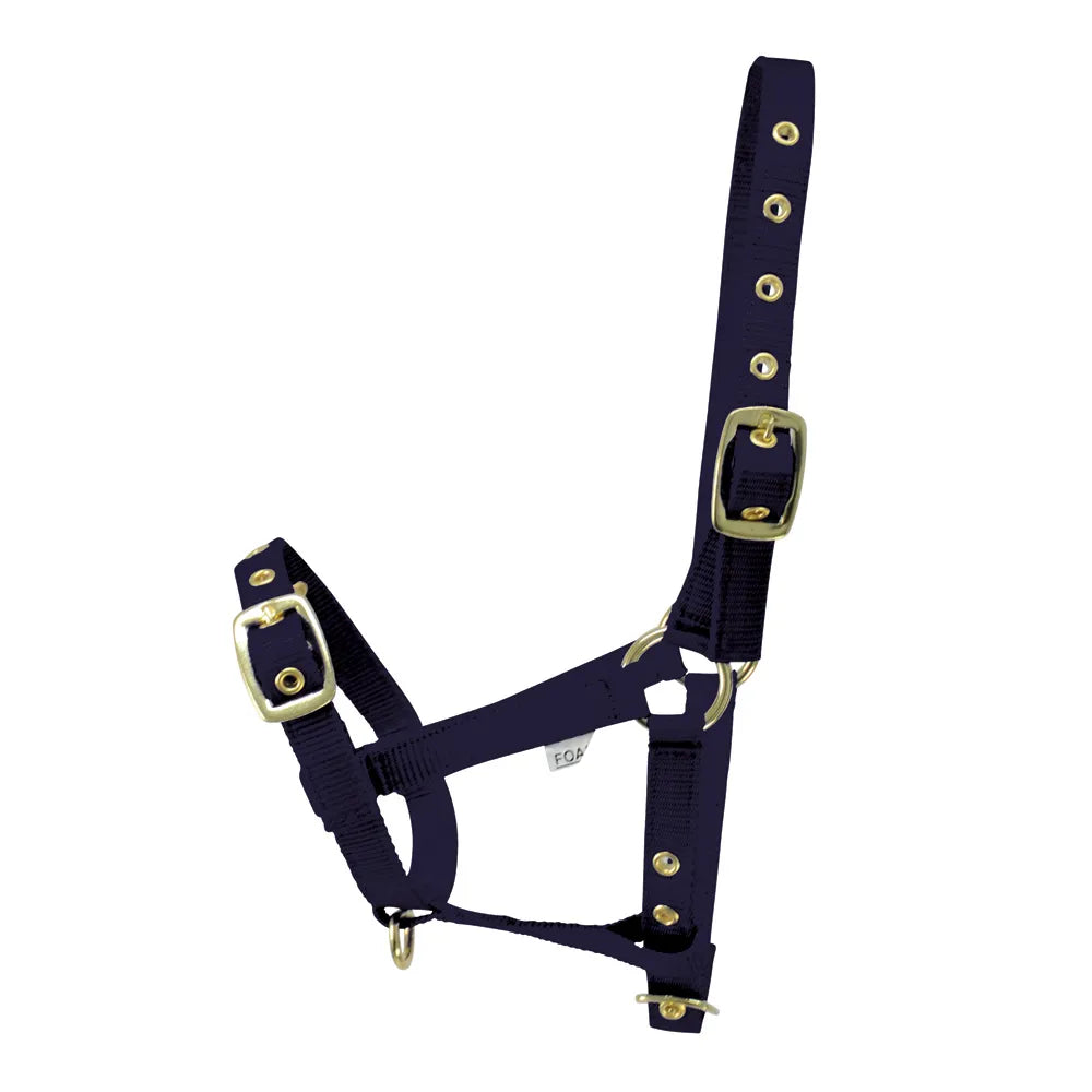 Hy Equestrian Foal Head Collar