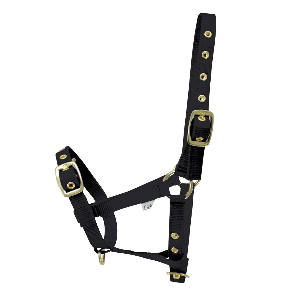 Hy Equestrian Foal Head Collar