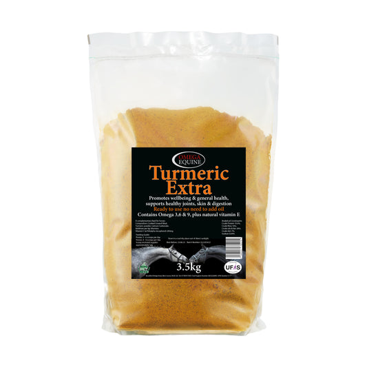 Omega Equine Turmeric