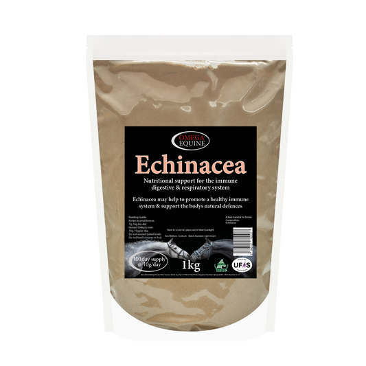 Omega Equine Echinacea