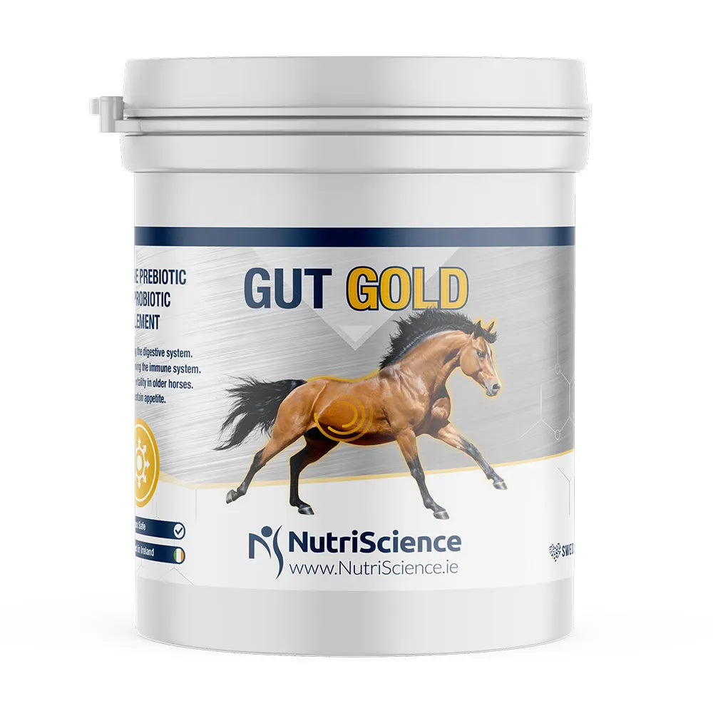 Equine Gold