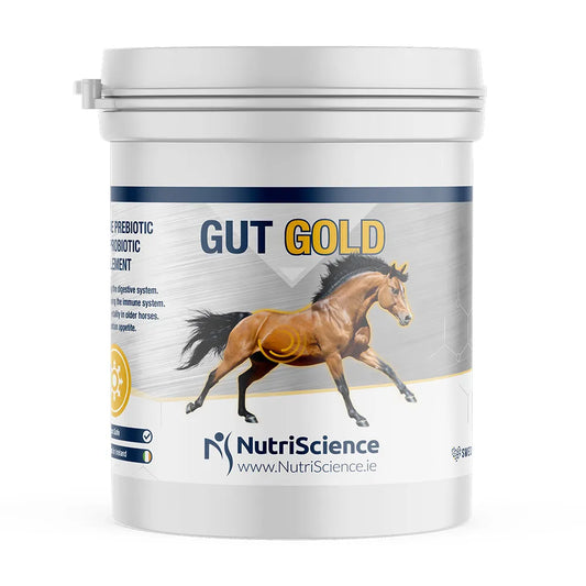 Equine Gold