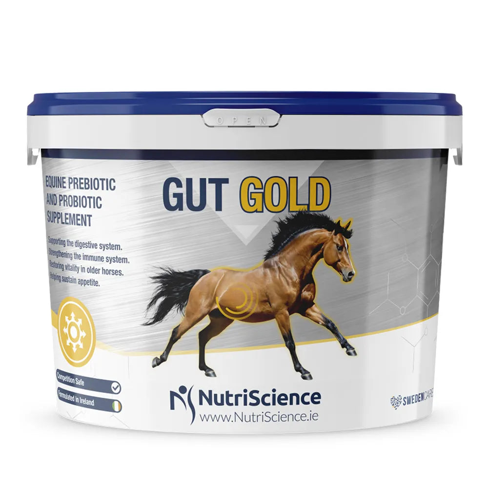 Equine Gold