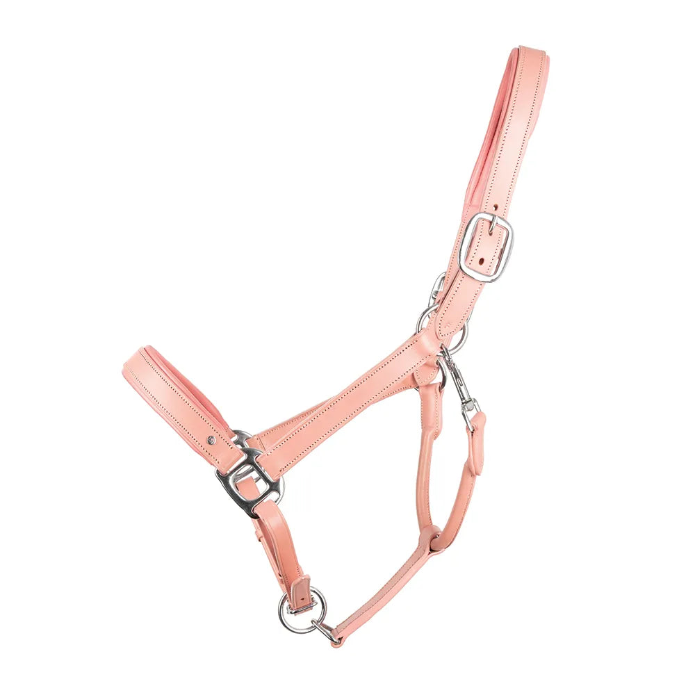 Serena Leather Head Collar by Little Rider