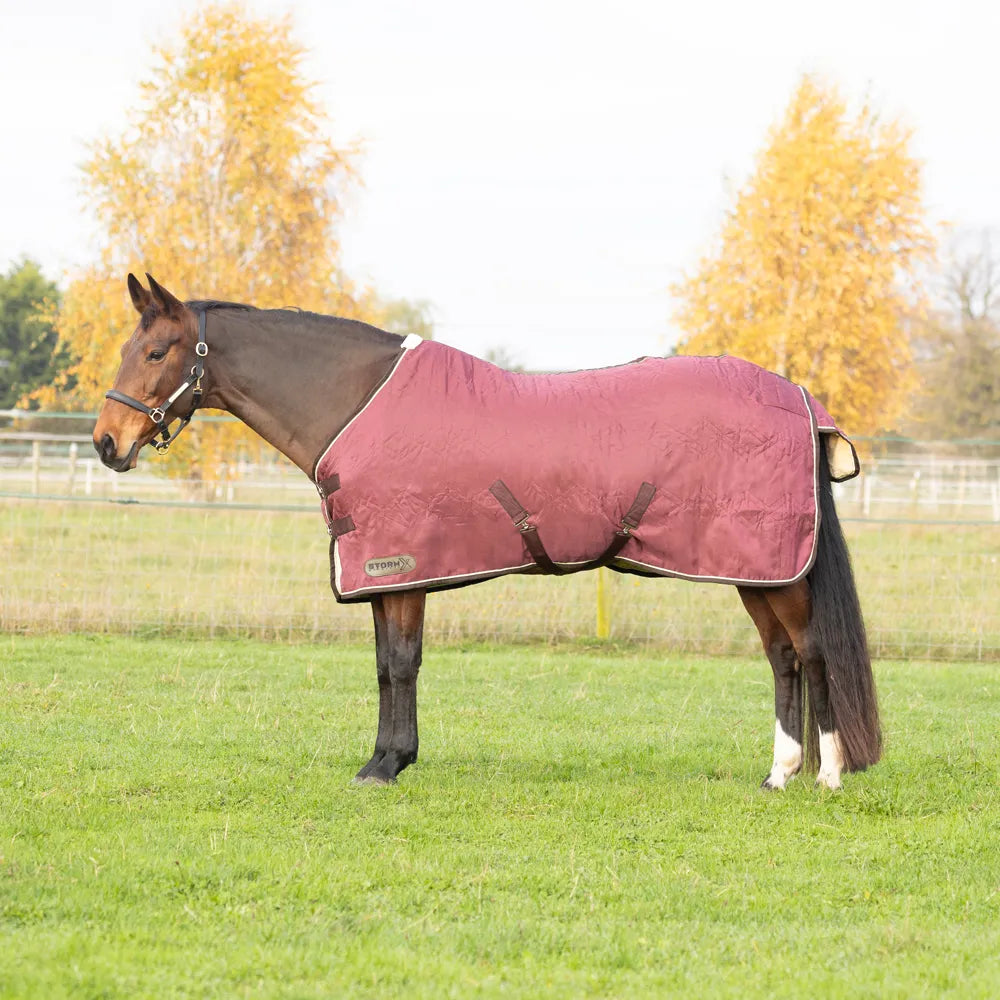 StormX Original Luxury Show Rug