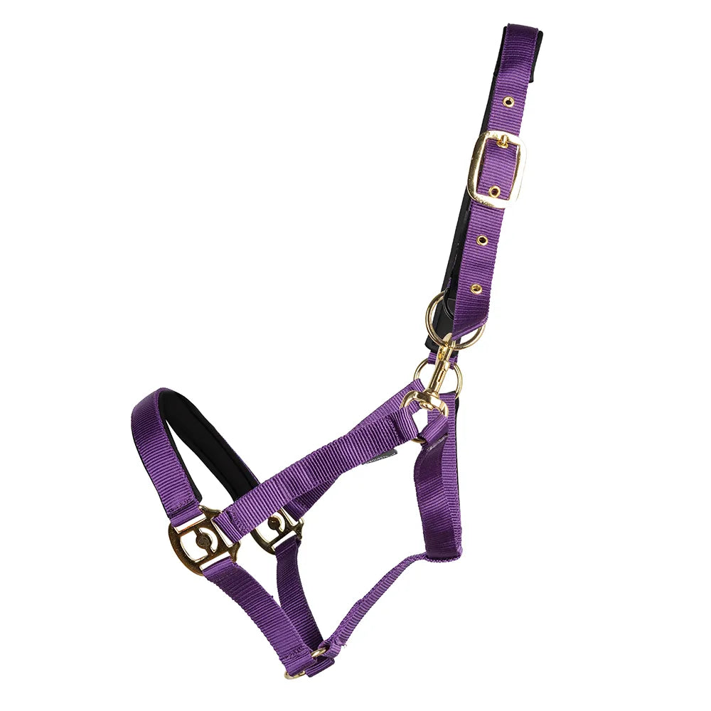 Hy Equestrian Fieldsafe Head Collar